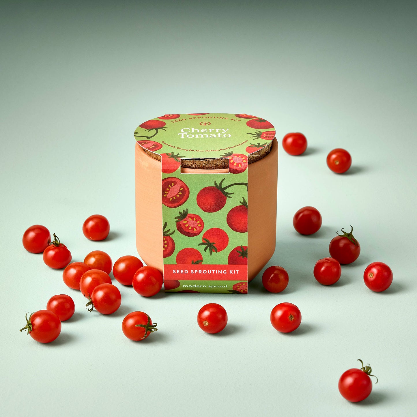 Modern Sprout - Tiny Terracotta Garden Kit - Baby Watermelon