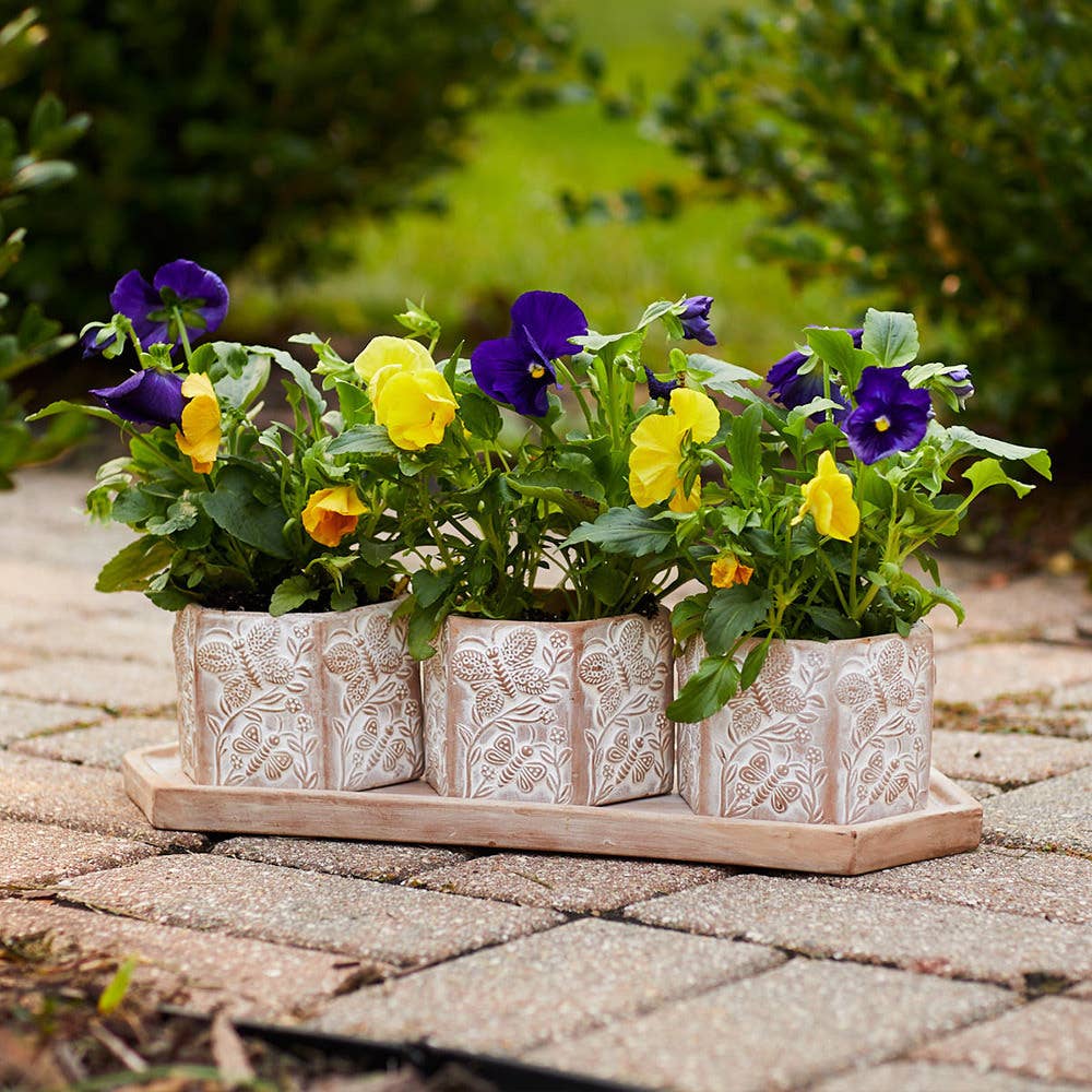 SERRV International - Basanta Meadow Planters - Set of 3