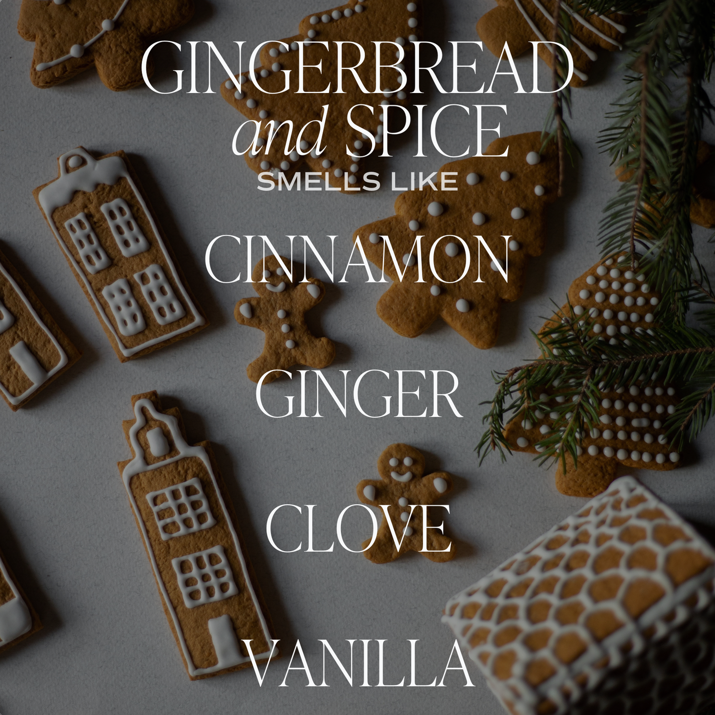 Sweet Water Decor - Gingerbread and Spice Soy Candle - 11 oz