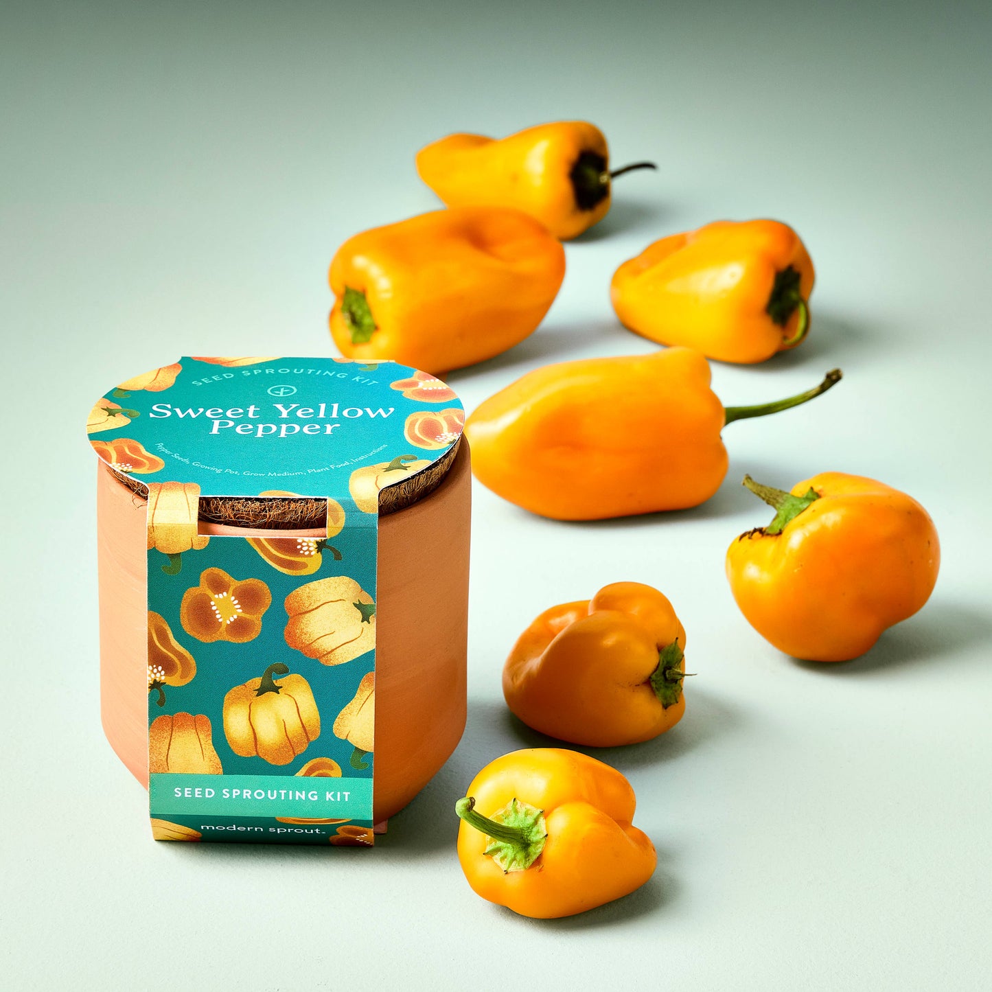 Modern Sprout - Tiny Terracotta Garden Kit - Baby Watermelon