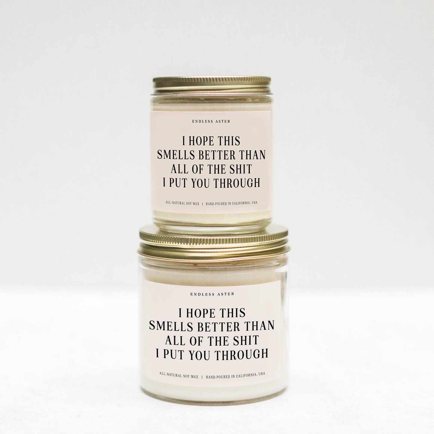 Endless Aster - Smells Better Than All Of The Shit I Put You Through Candle