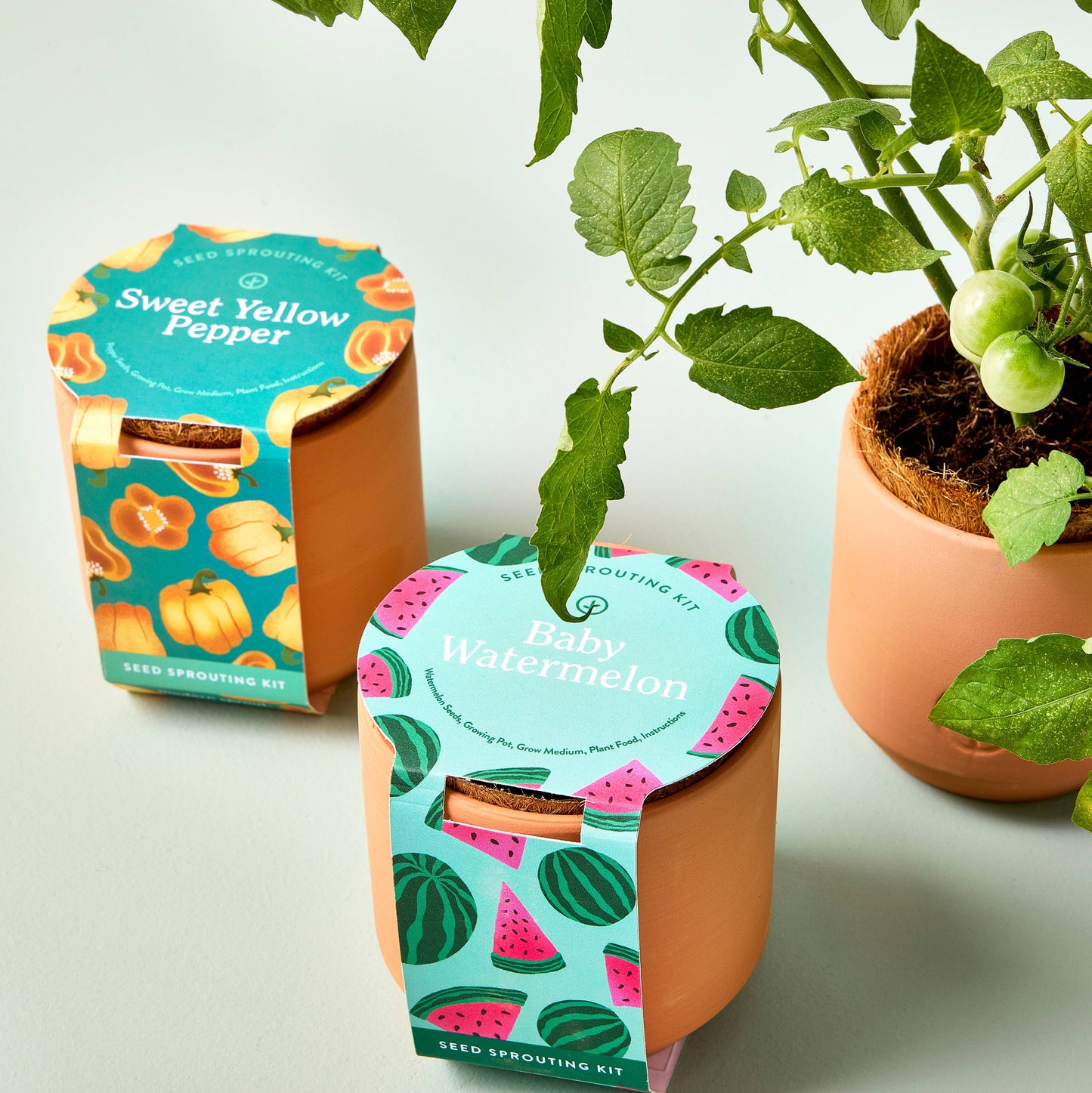 Modern Sprout - Tiny Terracotta Garden Kit - Baby Watermelon