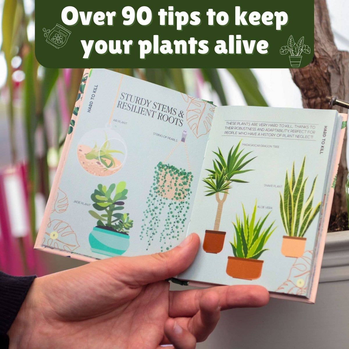 Boxer Gifts - Houseplant Survival Gift Set for Plant Moms
