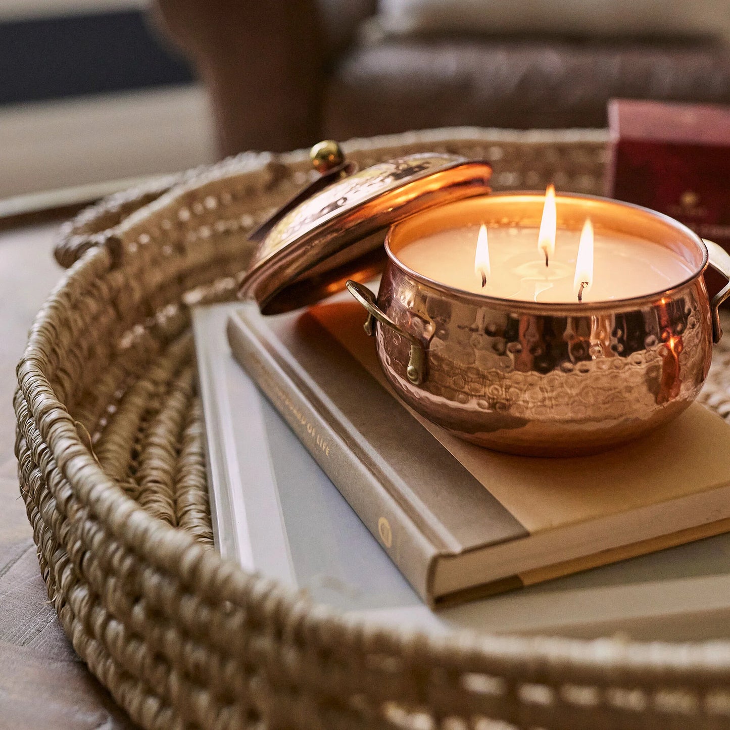 Thymes - Simmered Cider Copper Pot 3-Wick Candle
