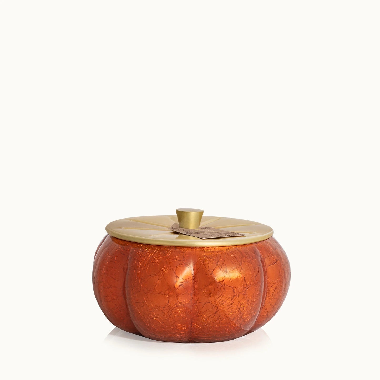 Thymes - Pumpkin Laurel Statement Large Candle