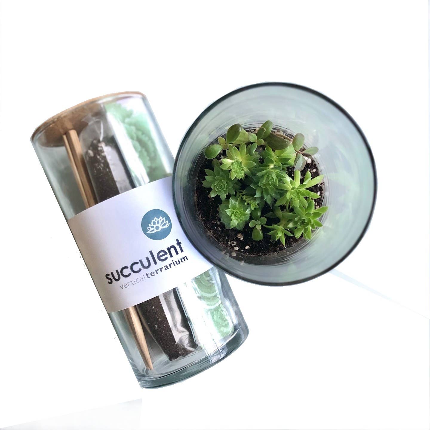 Potting Shed Creations, Ltd. - Vertical Succulent Terrarium