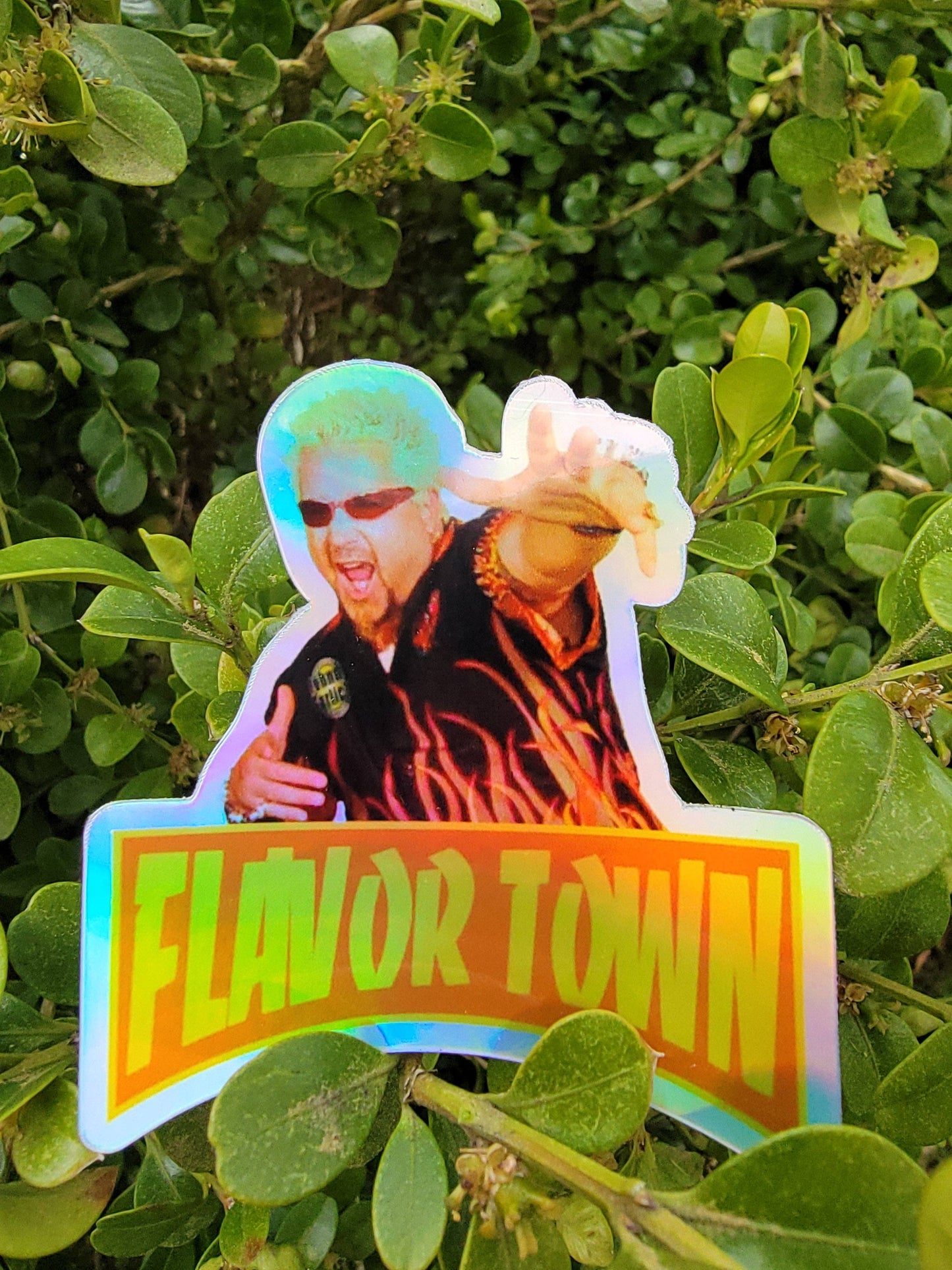 Ace the Pitmatian Co - Holographic Flavor Town Guy Fieri Meme Sticker
