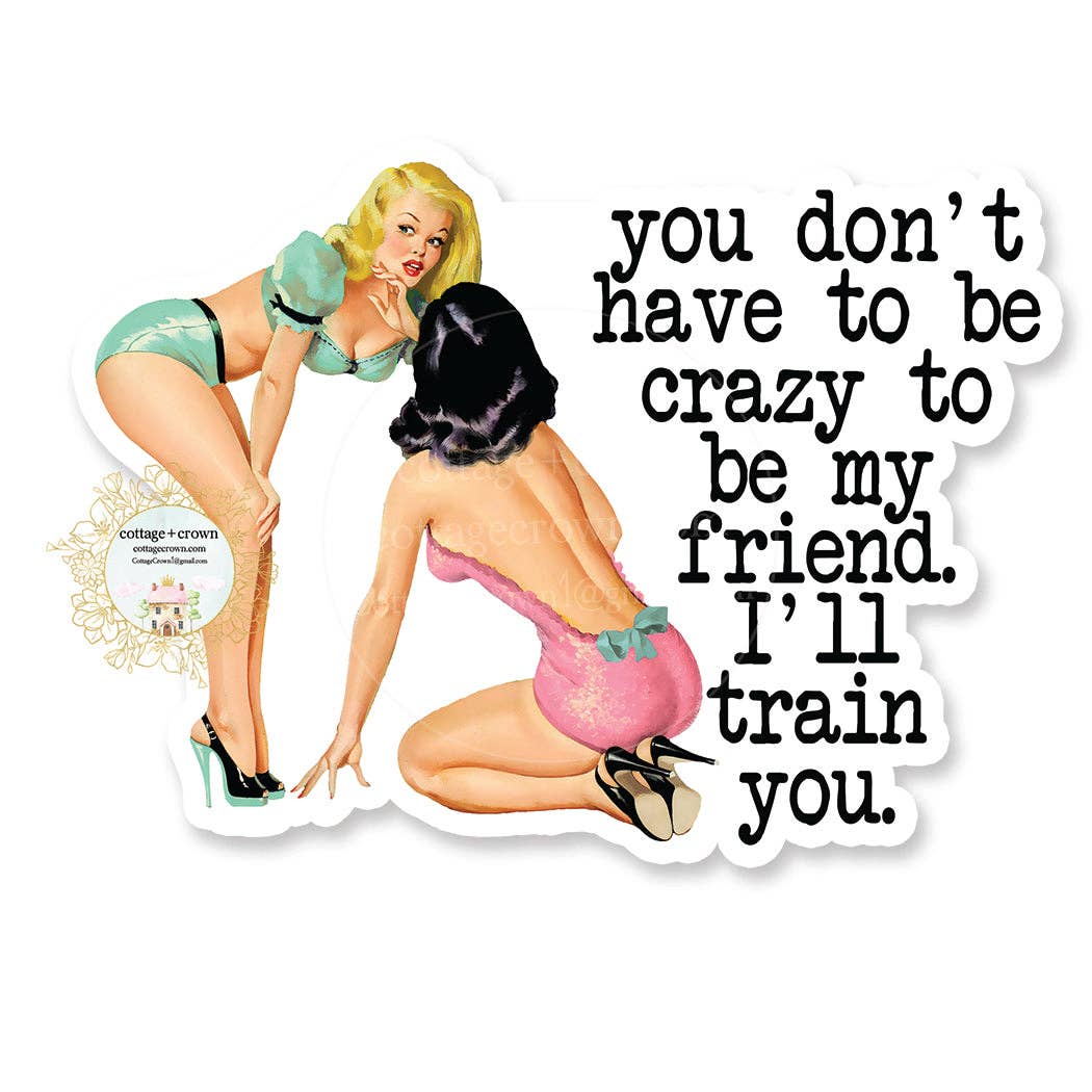 You Don't Have To be Crazy To Be My Friend Vinyl Sticker