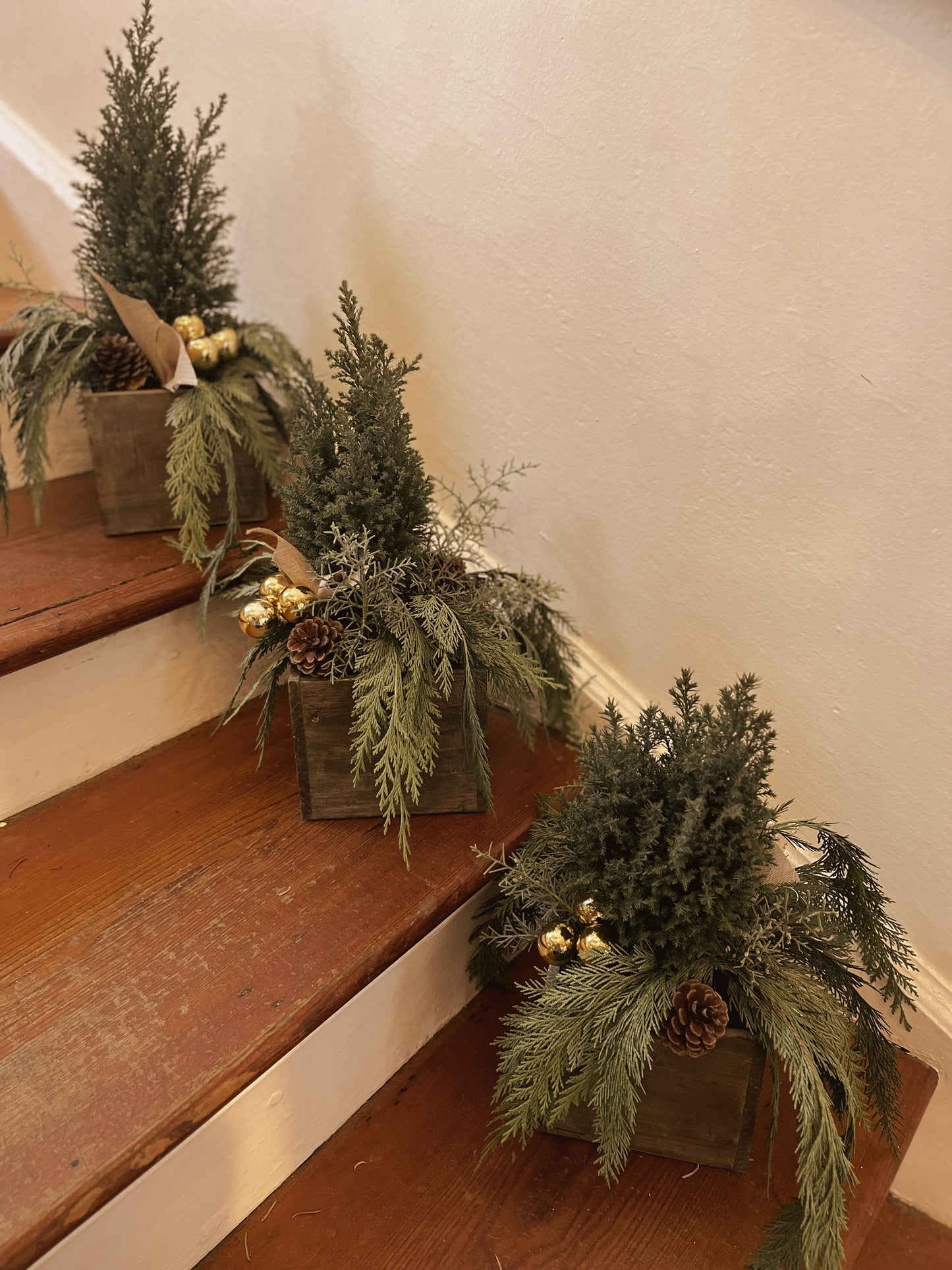 Tree Box Arrangement