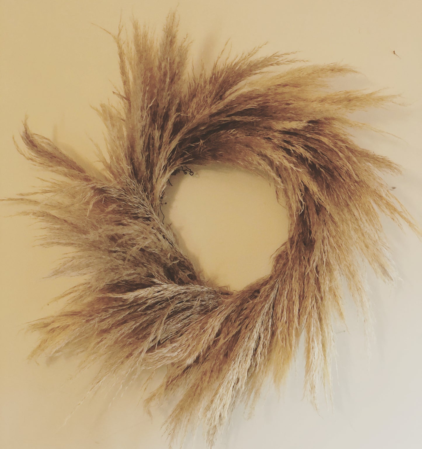 Natural Pampas Grass Wreath