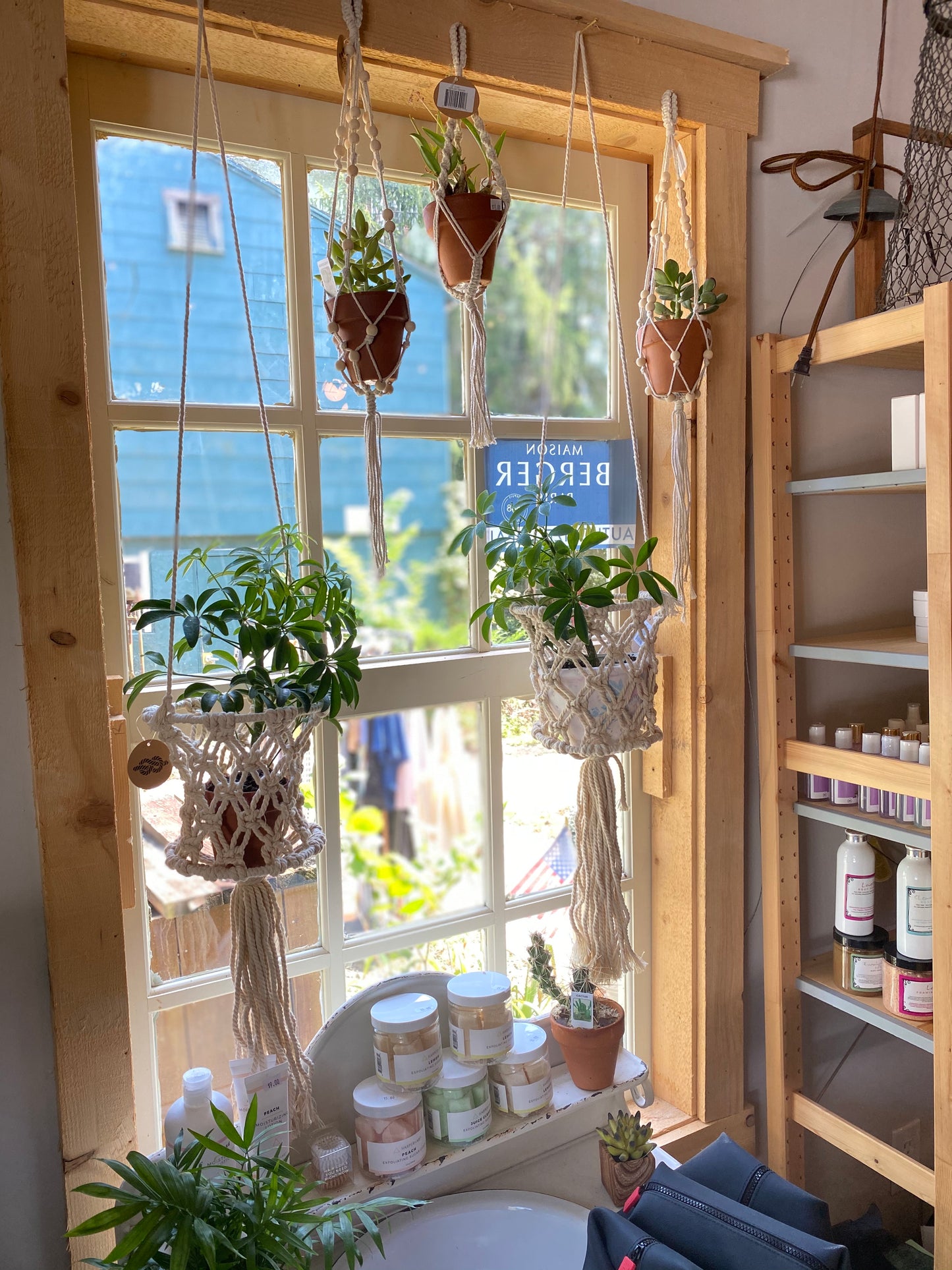 Macrame Hanging Plants