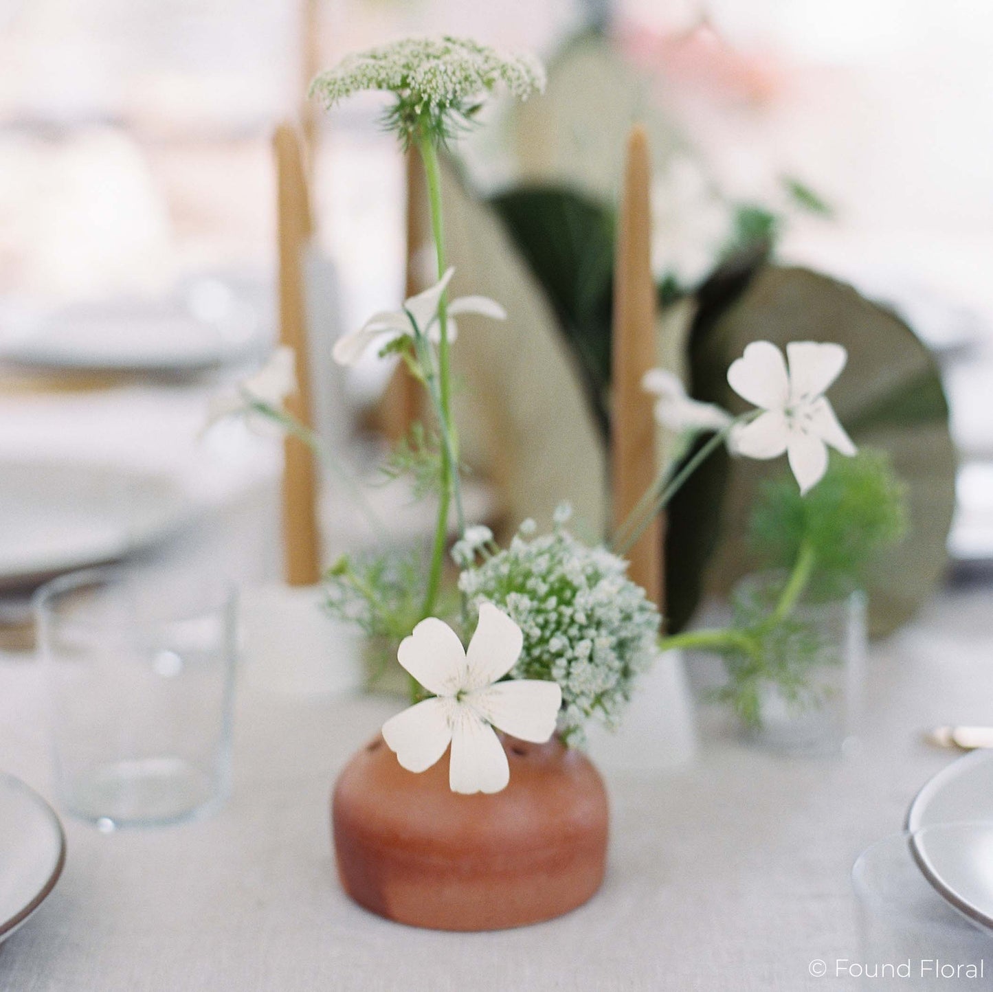 Bloomist - Terra Cotta Frog Vases