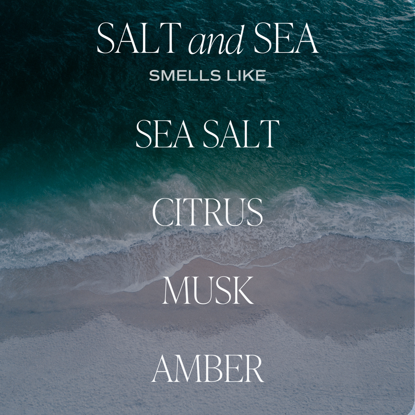 Sweet Water Decor - Salt and Sea - 9 oz. Soy Candle