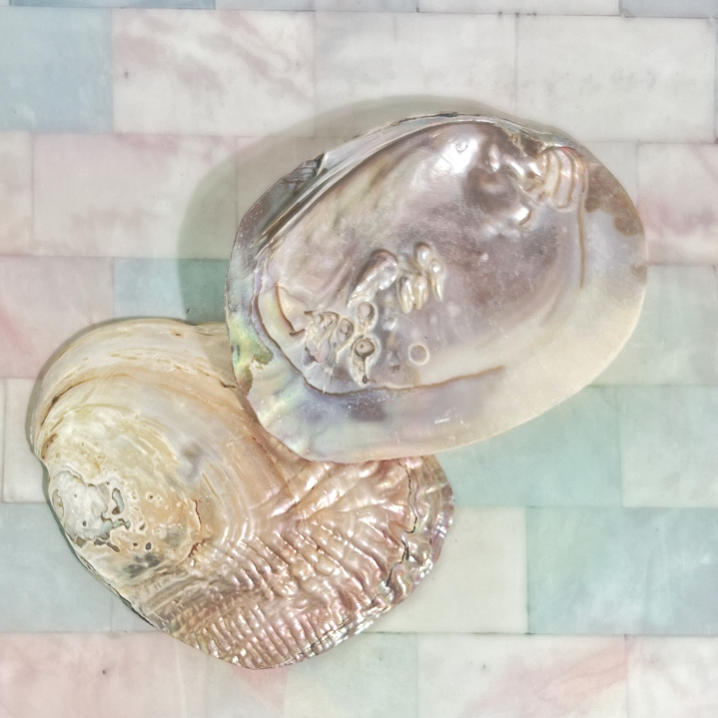 Sow the Magic - Pearl Shell Dish  |  Sage Smudge Bowl