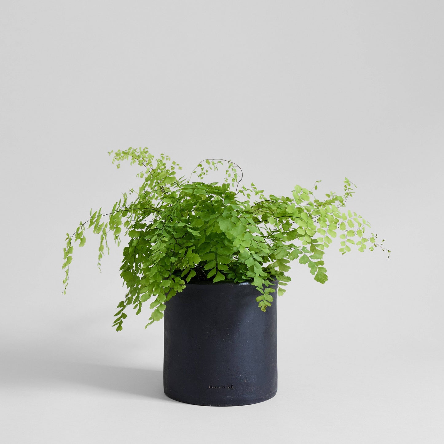 Bloomist - Modern Planter in Charcoal: Large