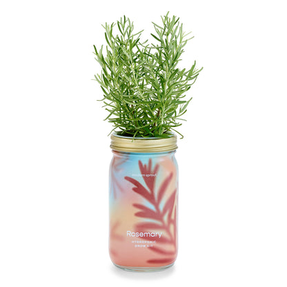 Modern Sprout - Herb Garden Jar - Basil