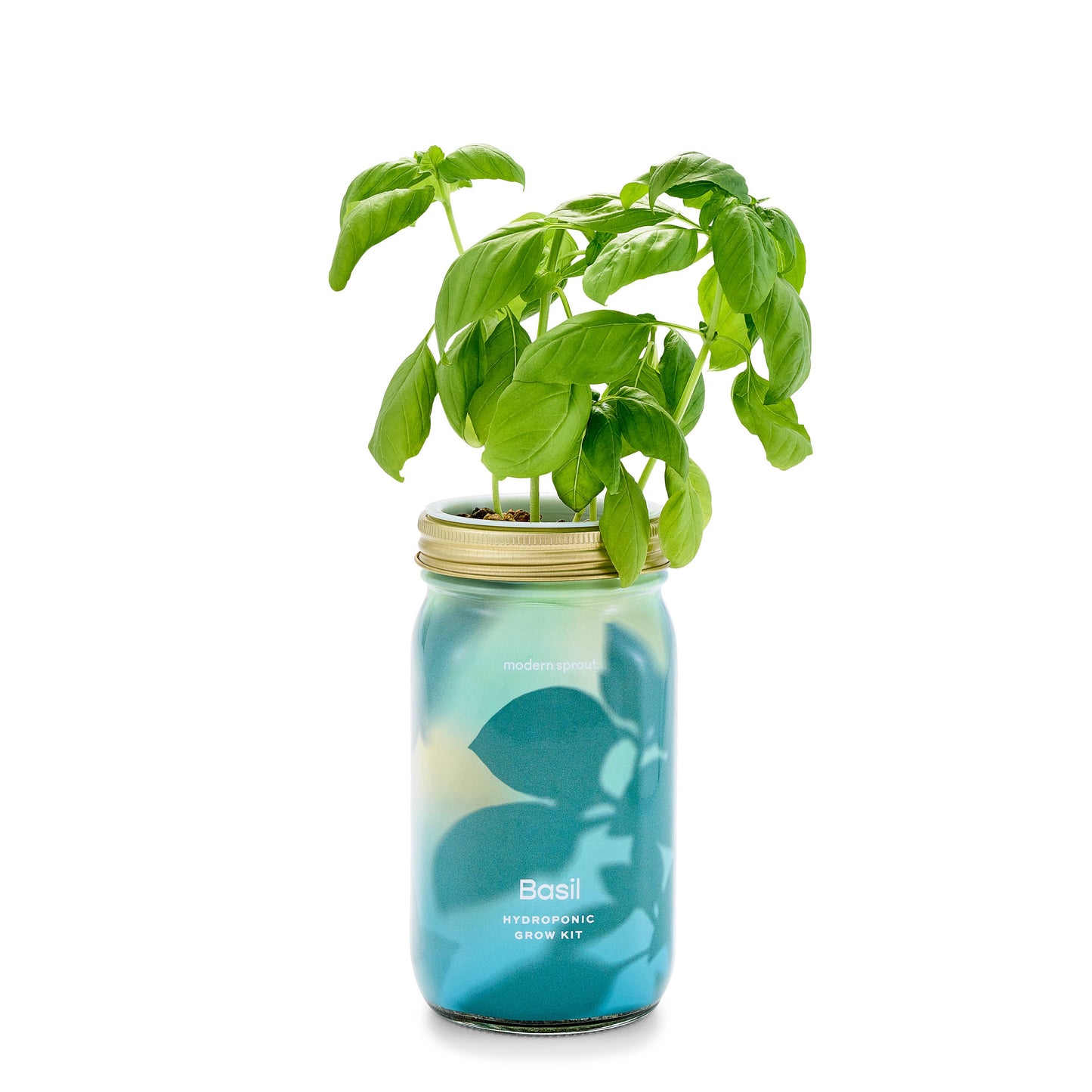 Modern Sprout - Herb Garden Jar - Basil