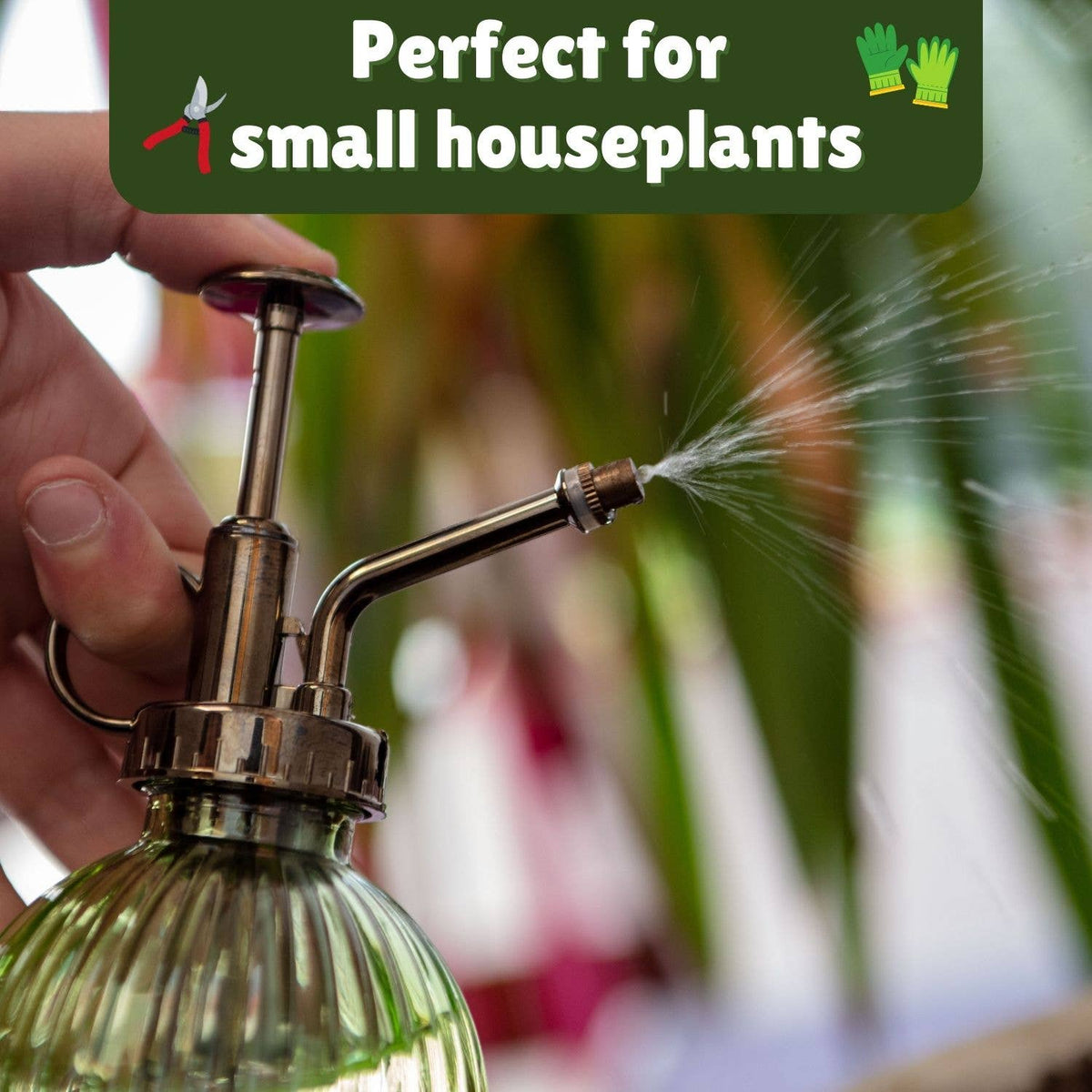 Boxer Gifts - Houseplant Survival Gift Set for Plant Moms