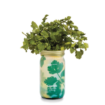 Modern Sprout - Herb Garden Jar - Basil