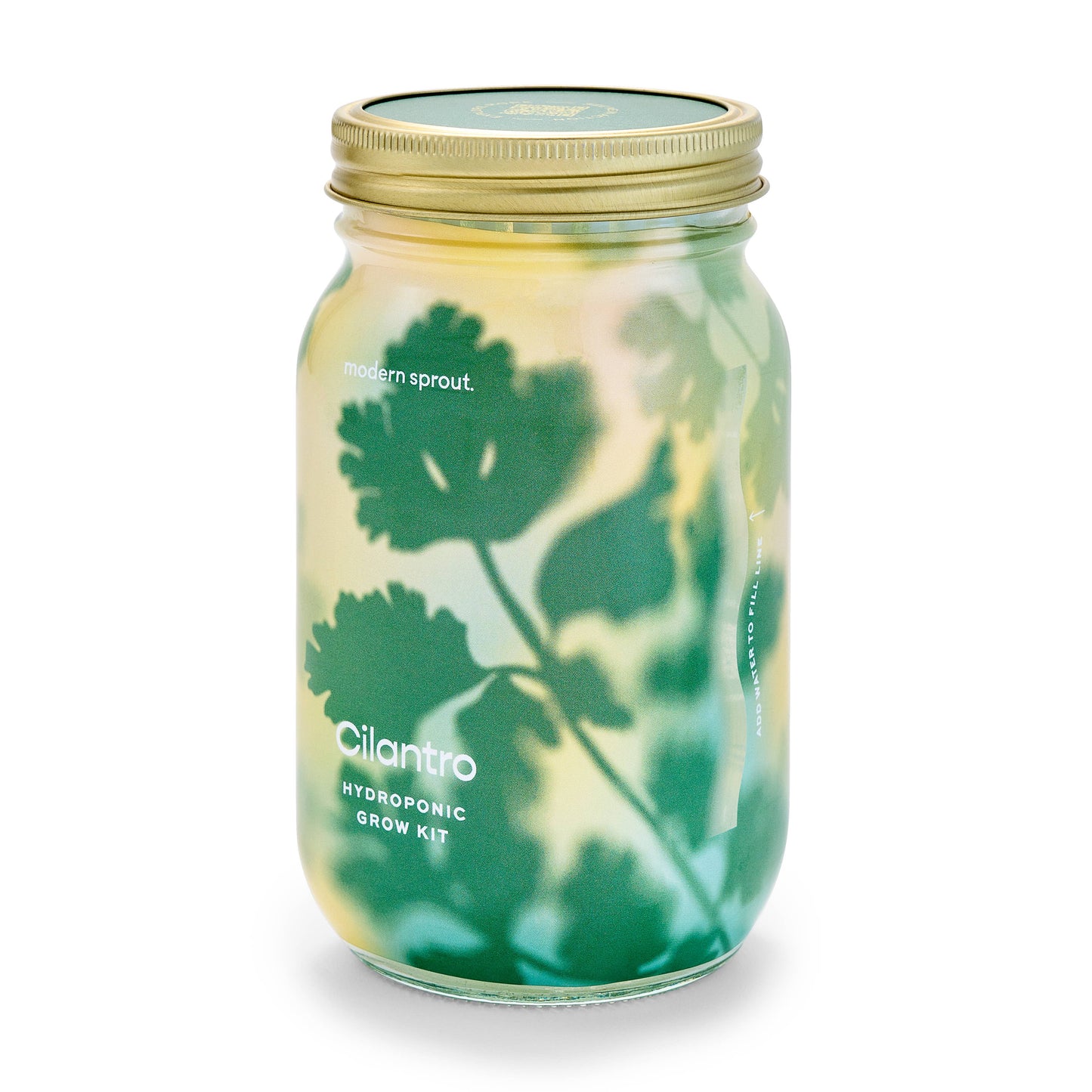 Modern Sprout - Herb Garden Jar - Parsley