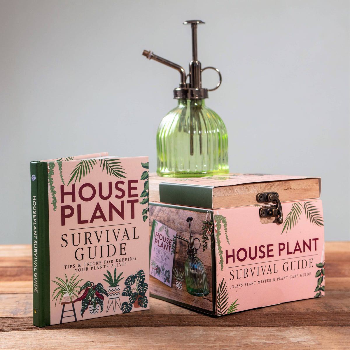 Boxer Gifts - Houseplant Survival Gift Set for Plant Moms