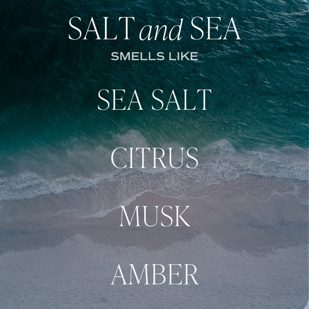 Sweet Water Decor - Salt and Sea 12 oz Candle - Home Decor and Gifts