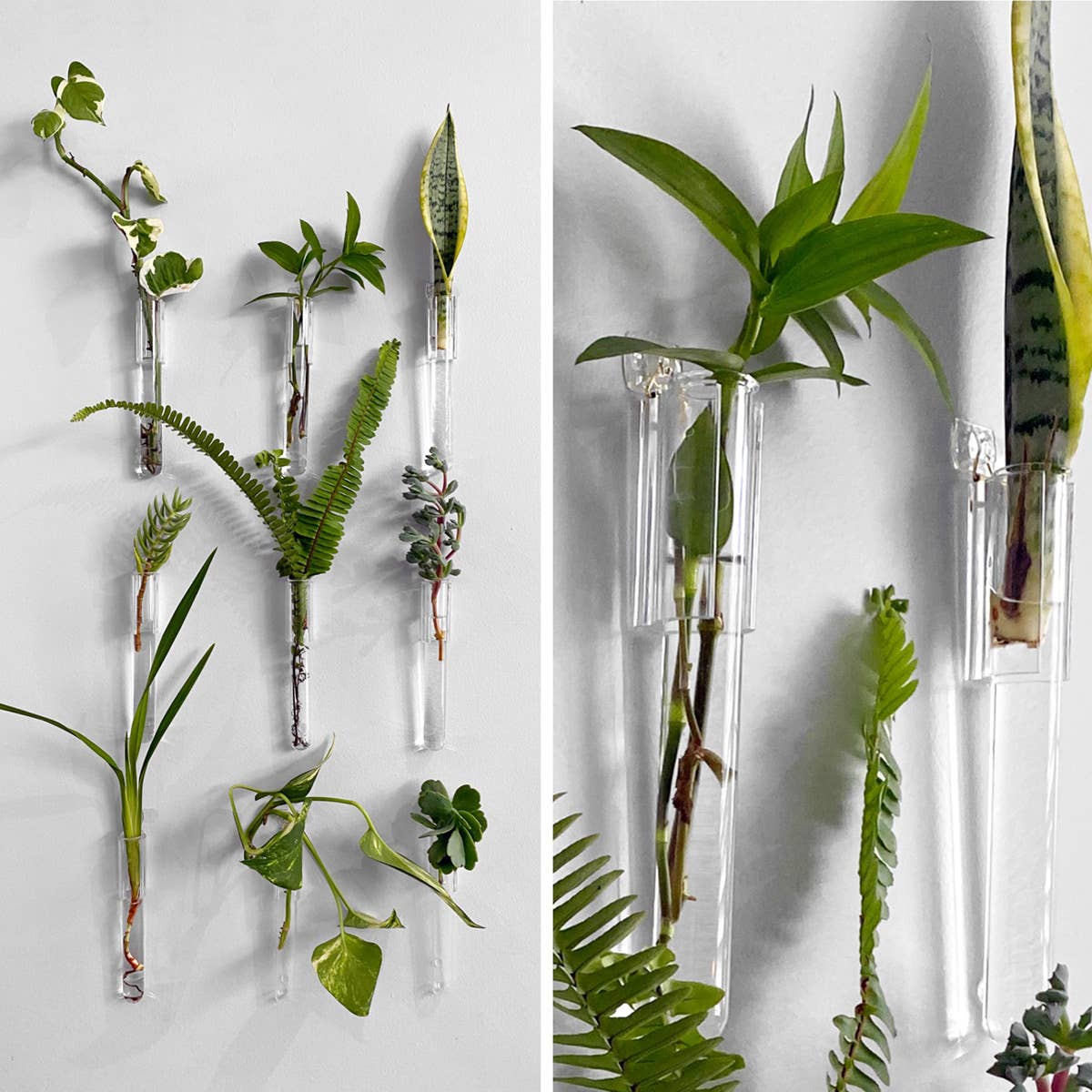 PRINT AND PROPER - Clear Test Tube Plant Hangers. Propagation Wall Station.: 3M Wall Hook