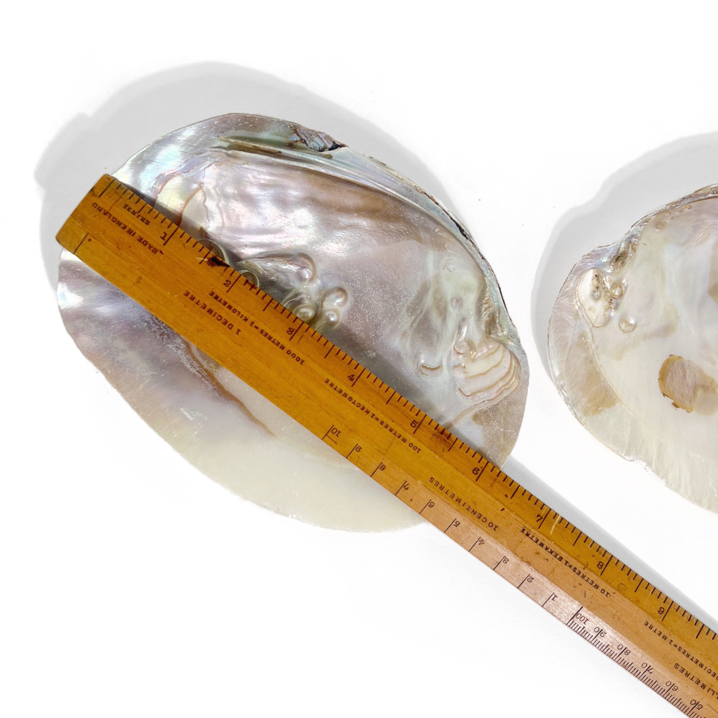 Sow the Magic - Pearl Shell Dish  |  Sage Smudge Bowl