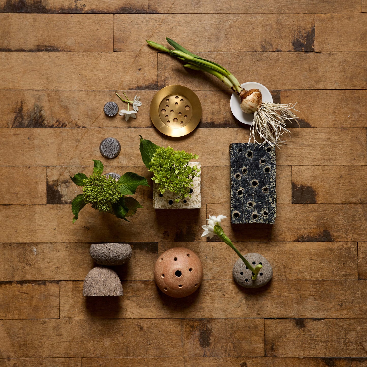 Bloomist - Terra Cotta Frog Vases