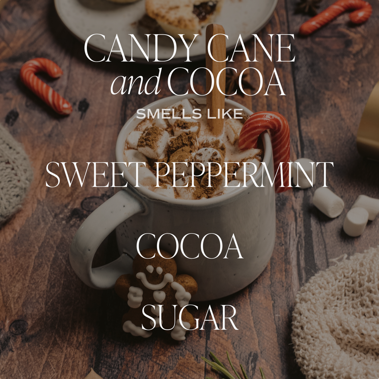 Sweet Water Decor - Candy Cane and Cocoa Soy Candle - 9 oz