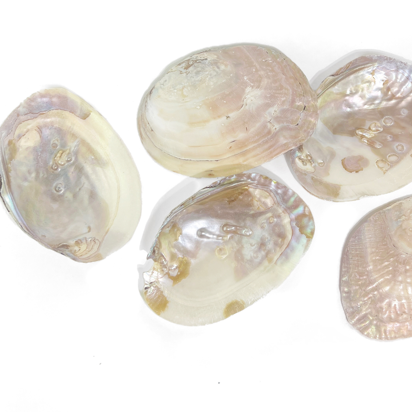 Sow the Magic - Pearl Shell Dish  |  Sage Smudge Bowl