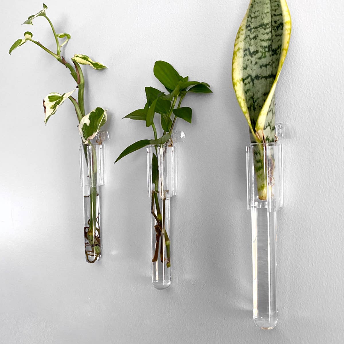 PRINT AND PROPER - Clear Test Tube Plant Hangers. Propagation Wall Station.: 3M Wall Hook