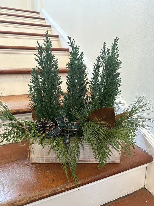 Tree Box Arrangement