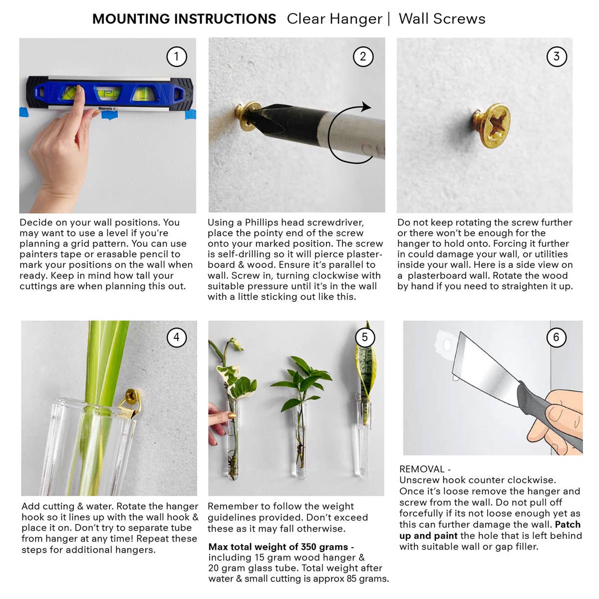 PRINT AND PROPER - Clear Test Tube Plant Hangers. Propagation Wall Station.: 3M Wall Hook