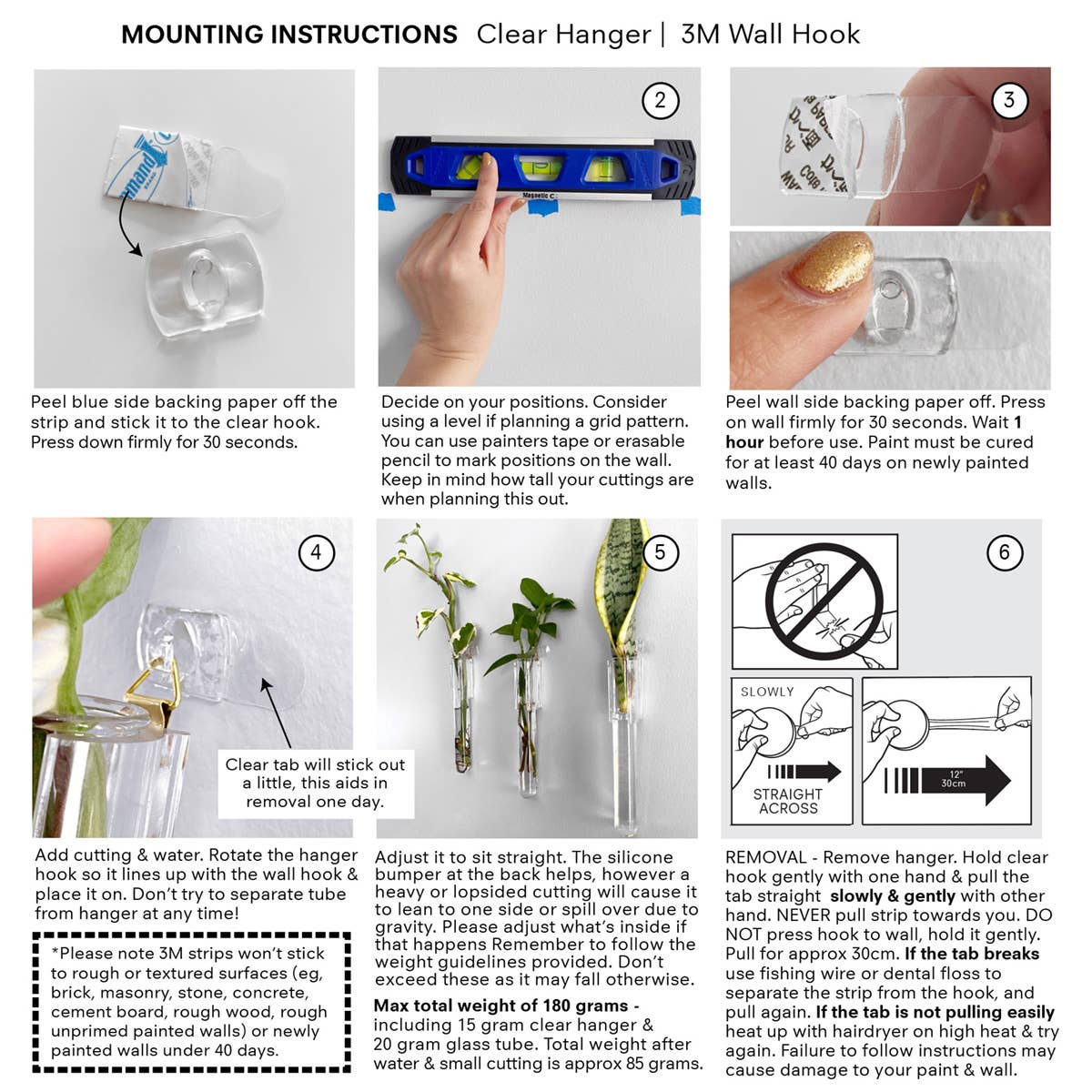 PRINT AND PROPER - Clear Test Tube Plant Hangers. Propagation Wall Station.: 3M Wall Hook