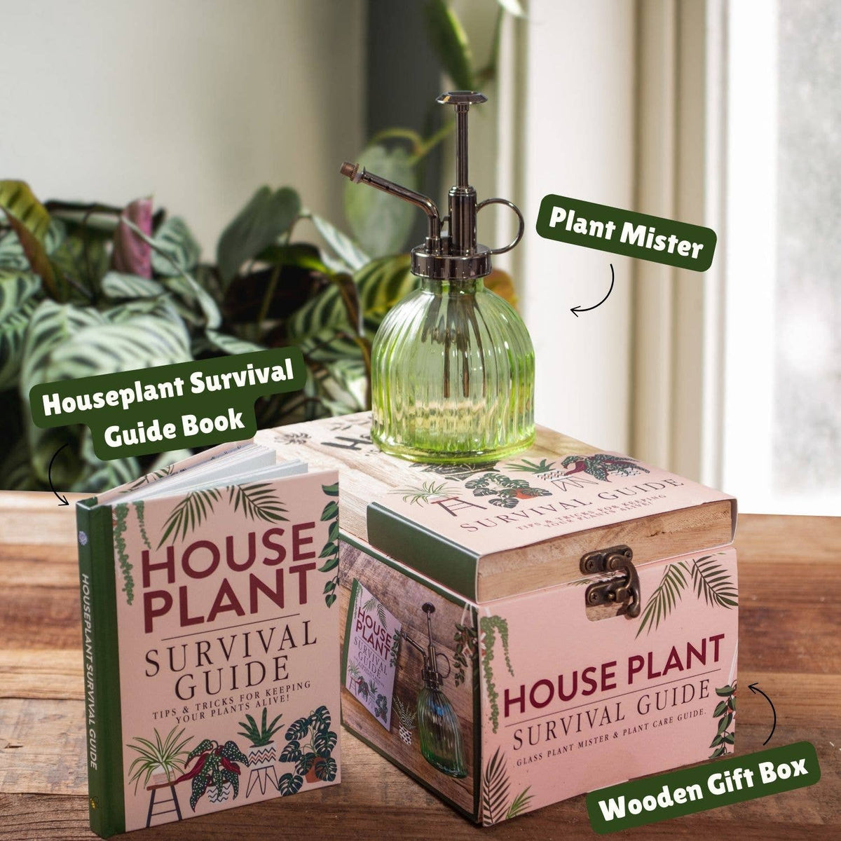 Boxer Gifts - Houseplant Survival Gift Set for Plant Moms