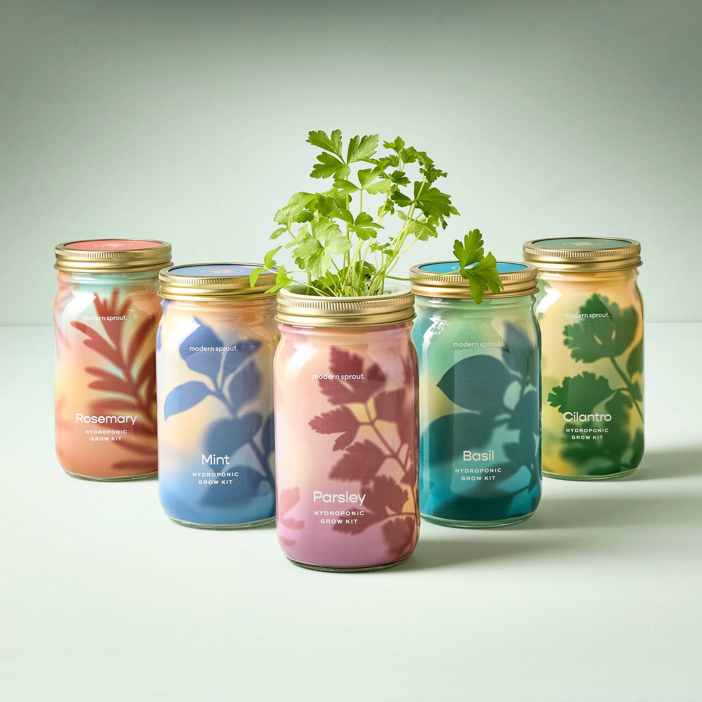 Modern Sprout - Herb Garden Jar - Rosemary