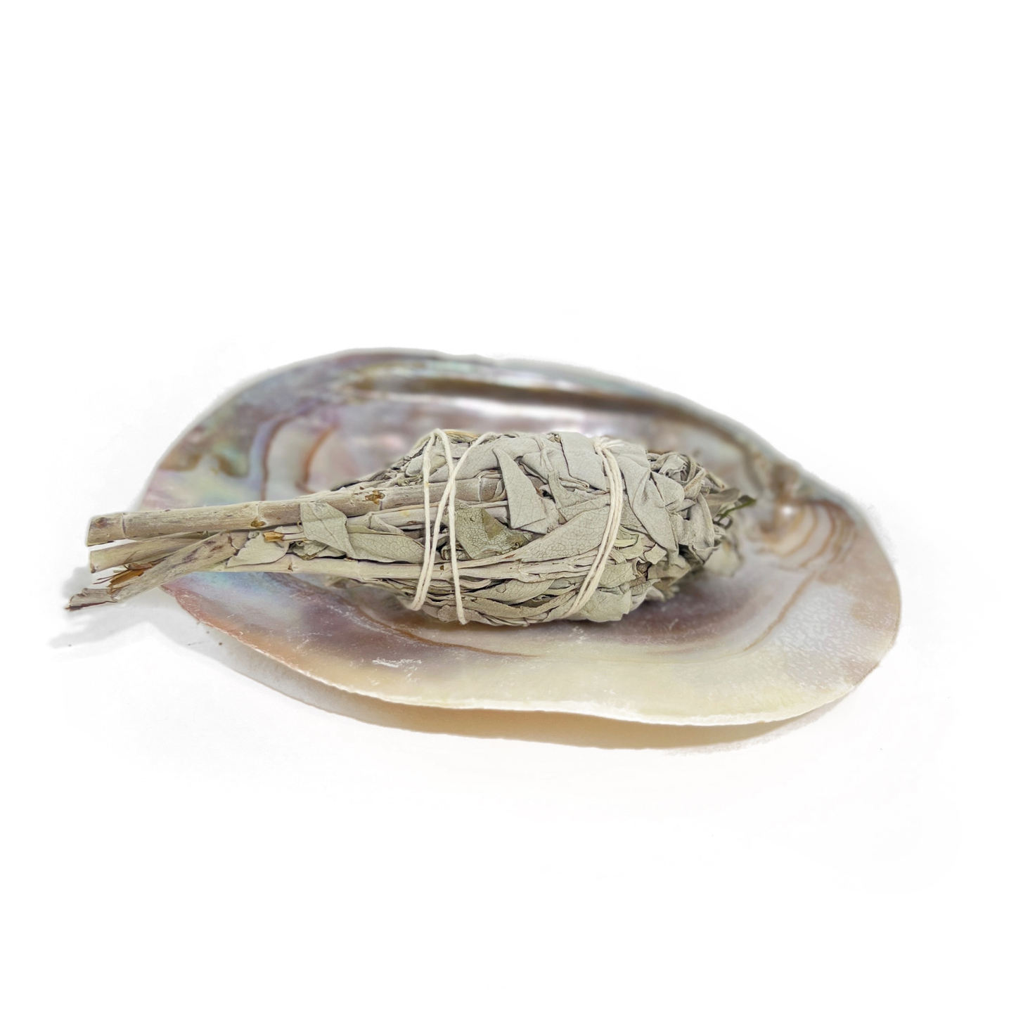 Sow the Magic - Pearl Shell Dish  |  Sage Smudge Bowl