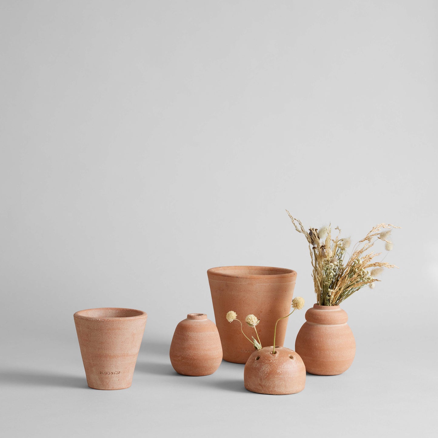 Bloomist - Terra Cotta Frog Vases