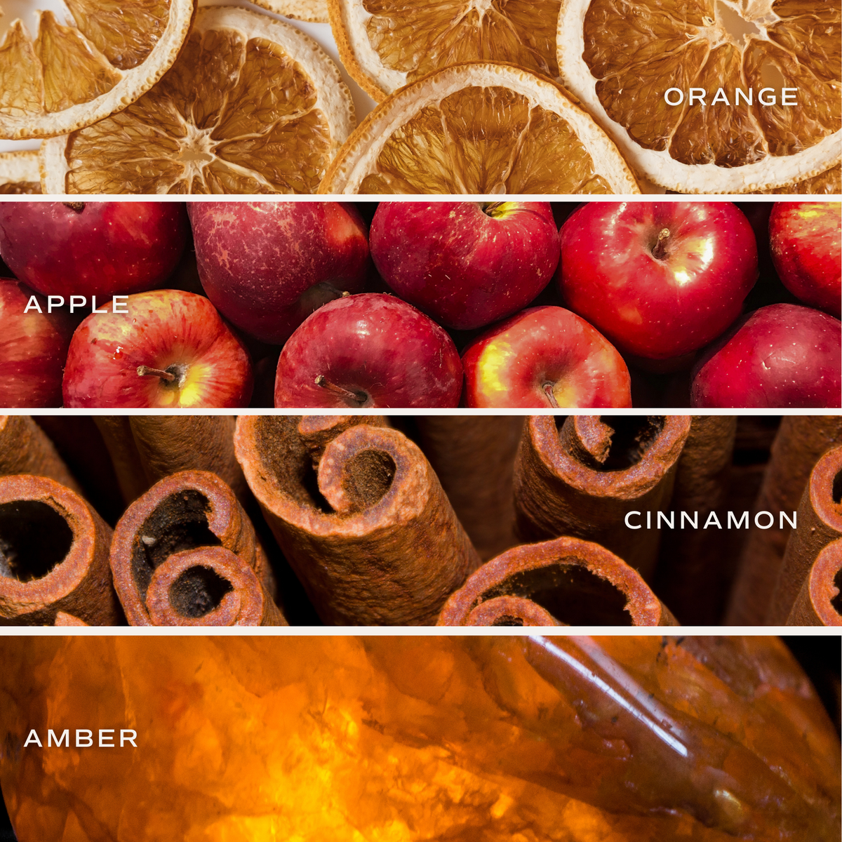 Sweet Water Decor - Mulled Cider 9 oz Soy Candle - Fall Decor & Gifts