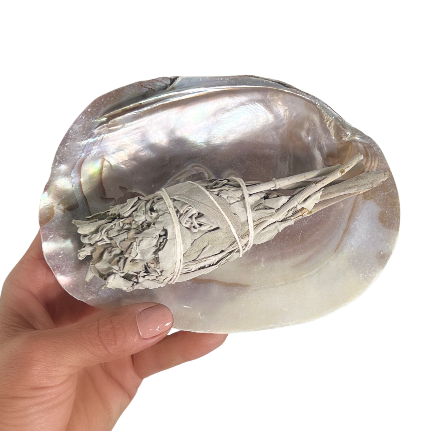 Sow the Magic - Pearl Shell Dish  |  Sage Smudge Bowl