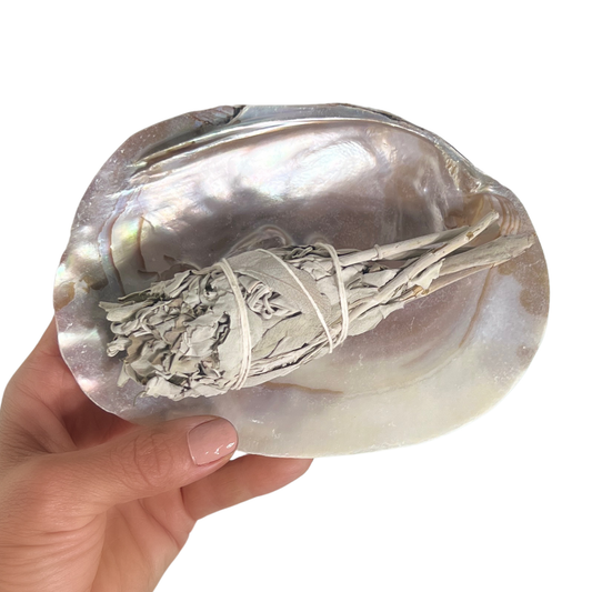Sow the Magic - Pearl Shell Dish  |  Sage Smudge Bowl