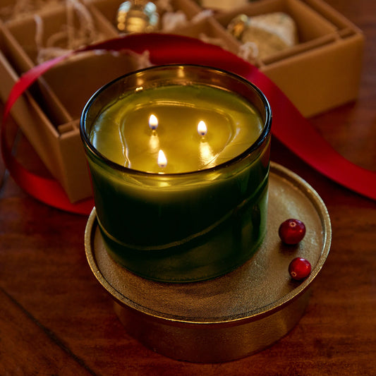 Thymes - Frasier Fir Green 3-Wick Candle