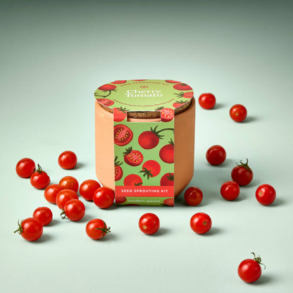 Modern Sprout - Tiny Terracotta Garden Kit - Cherry Tomato