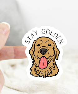 Ace the Pitmatian Co - Stay Golden Dog Sticker