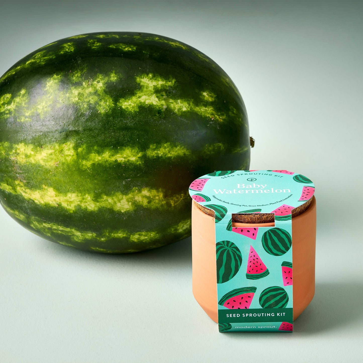 Modern Sprout - Tiny Terracotta Garden Kit - Baby Watermelon