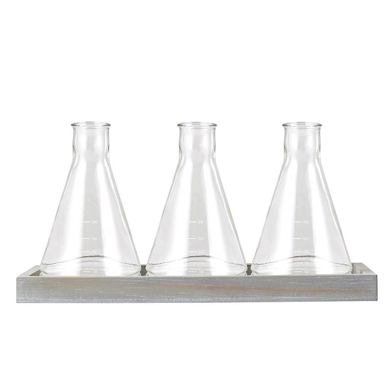 Santa Barbara Design Studio by Creative Brands - Glass Beaker Vase Trio Set
